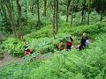 AUS04062009 (159)